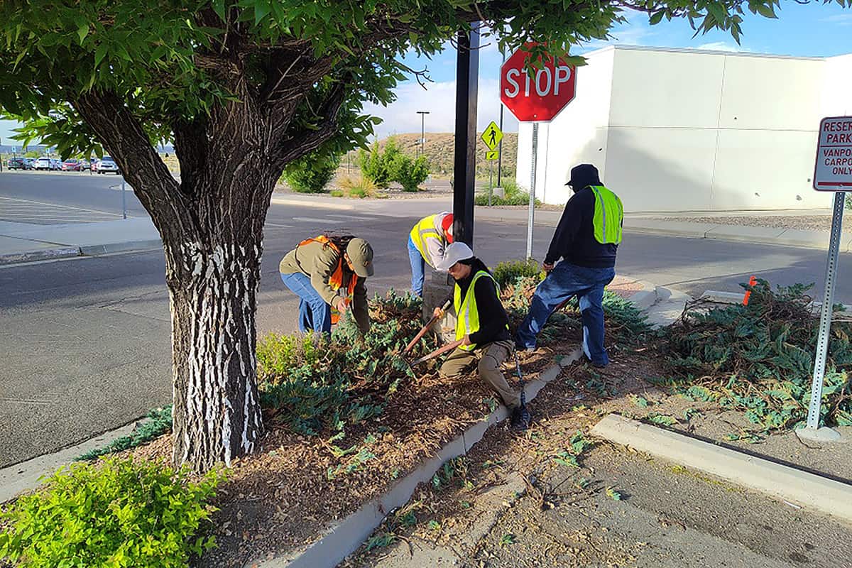 Group of individuals in reflective vests on the San Juan College main campus performing grounds maintenance.